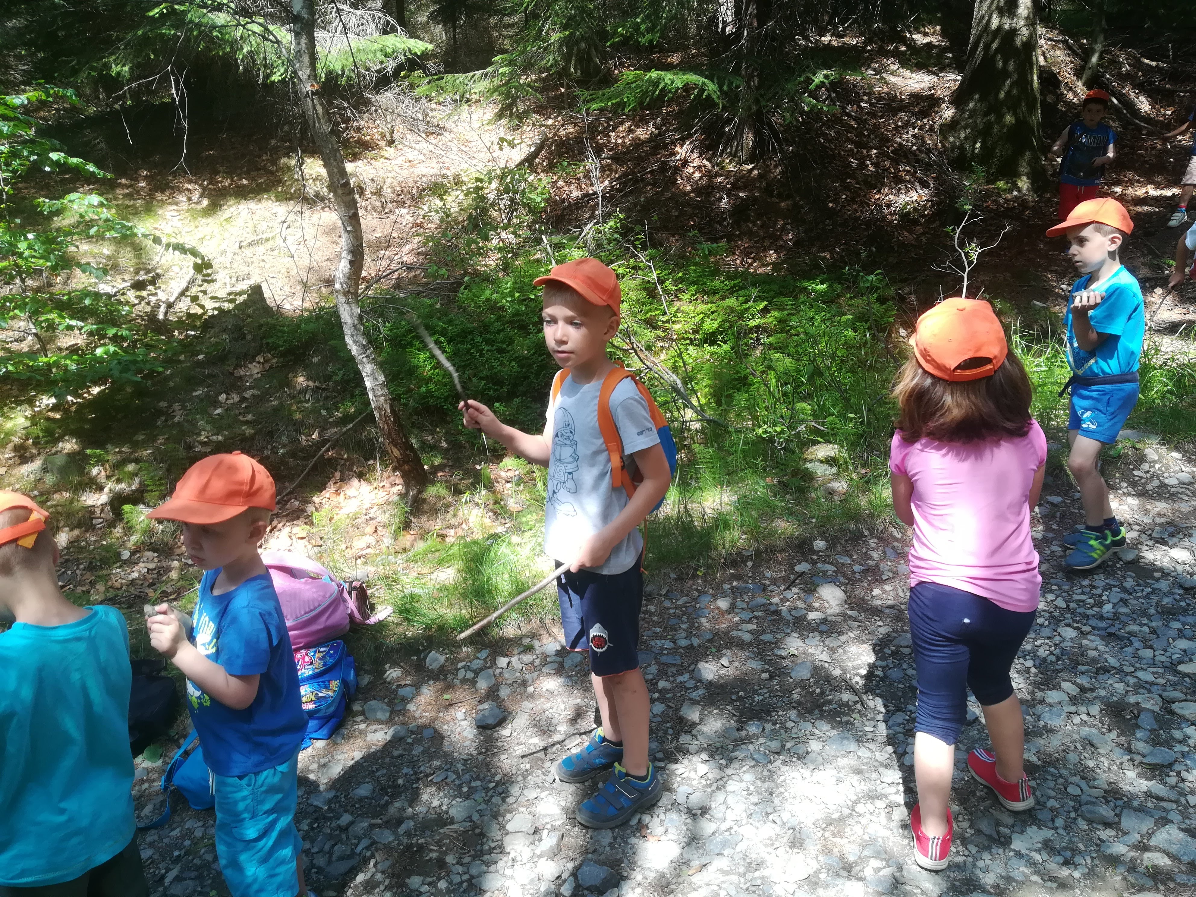 IMG_20190612_105710